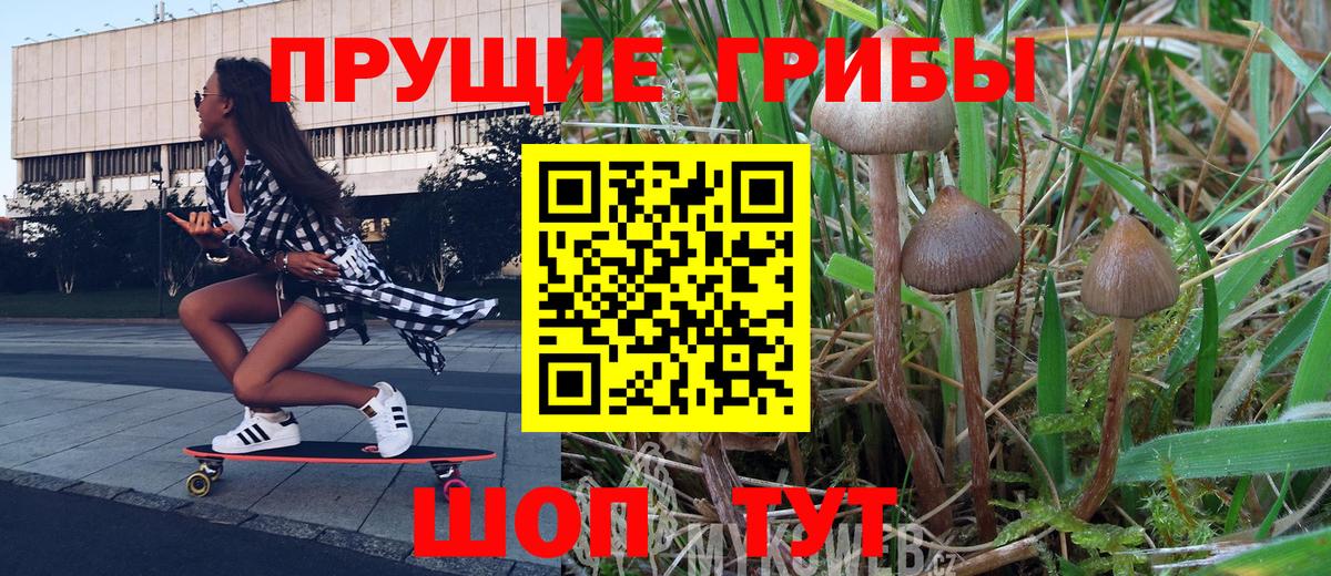 Псилоцибиновые грибы мицелий Гуково