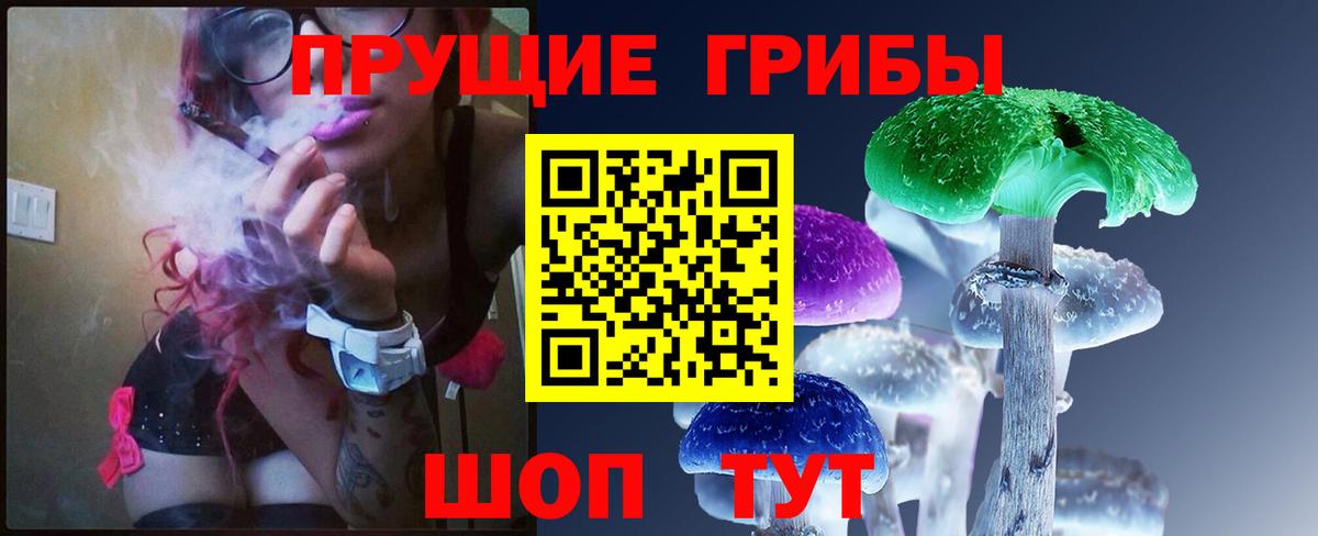 Псилоцибиновые грибы мицелий  Вход с VPN  Гуково  Галлюциногенные грибы Cubensis 